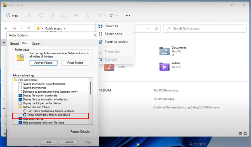 show hidden files windows 11 -2