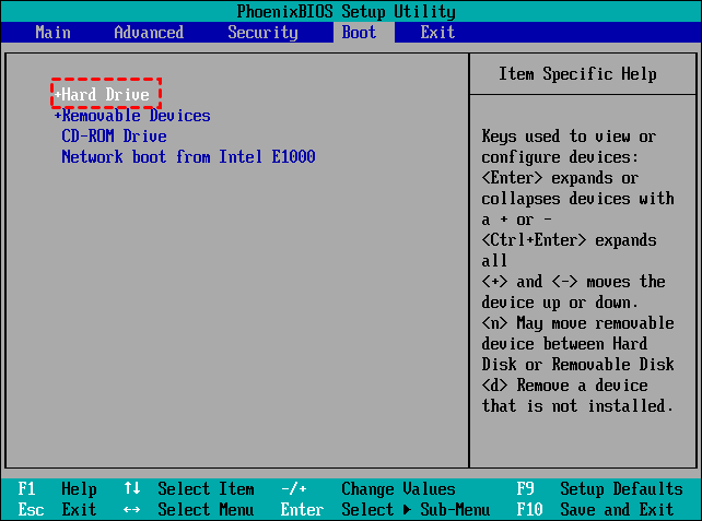 Change Boot Order in BIOS