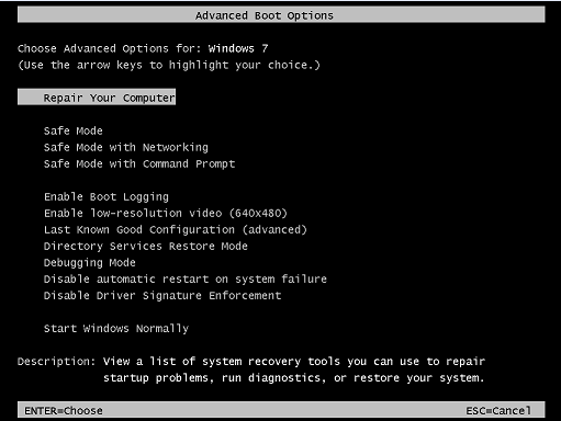 Dell Win7 Advanced Boot Options