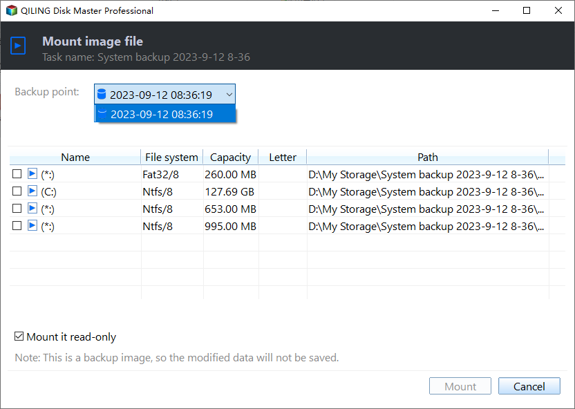 Disk Backup Point