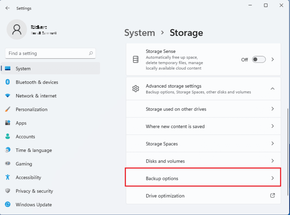 Backup Options