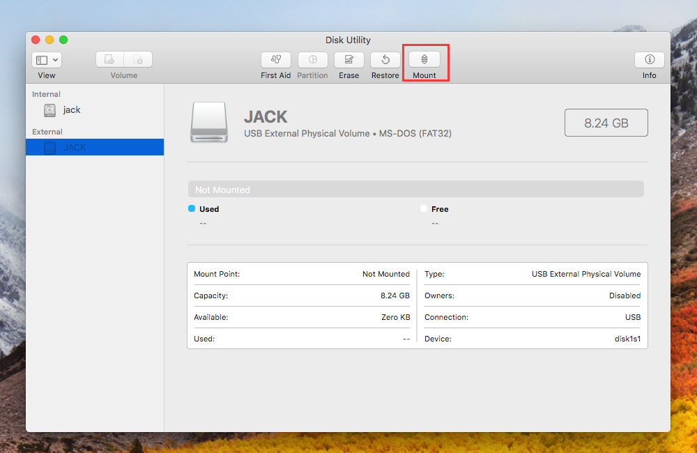 mount disk on mac