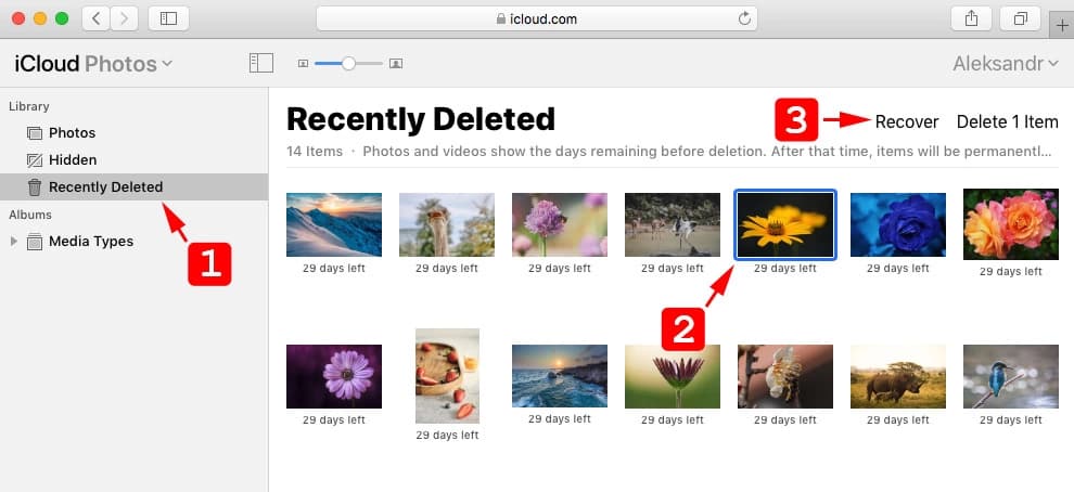 retrieve deleted pictures in icloud