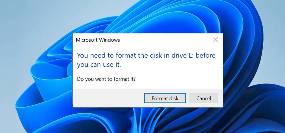 you need to format the disk