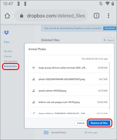 Recover Deleted Photos from Dropbox