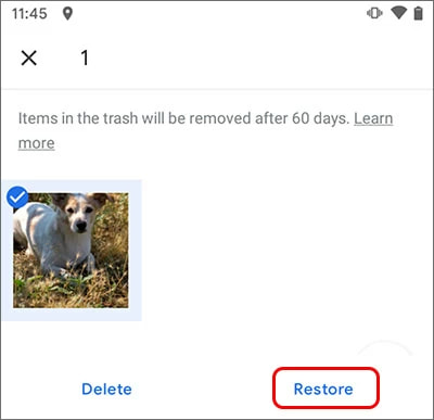 Recover Deleted Photos from Google