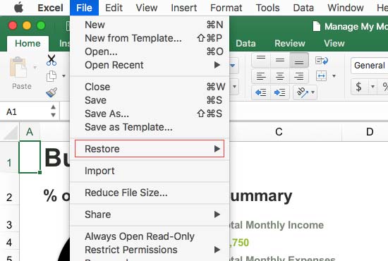 recover excel mac