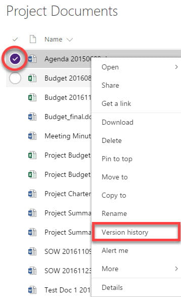 Word Version History on SharePoint