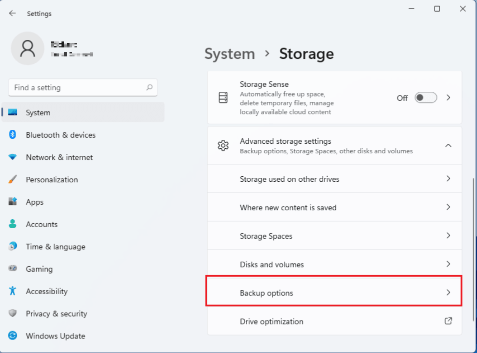 Backup Options